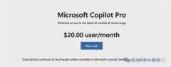 Copilot支撑语
