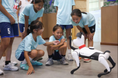 <b>了人工智能取保守计较机使用的区别</b>