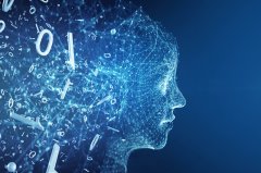 些和谈的具体条目并未公开